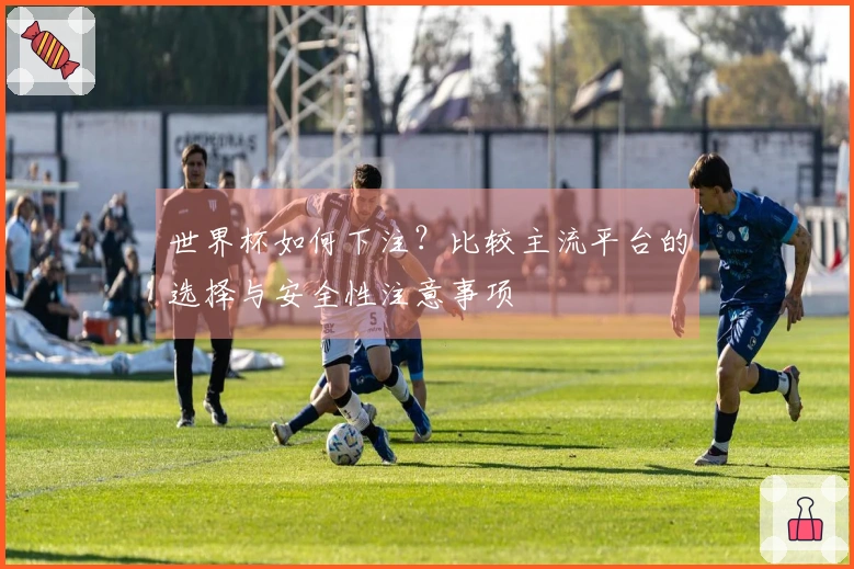 世界杯如何下注？比较主流平台的选择与安全性注意事项