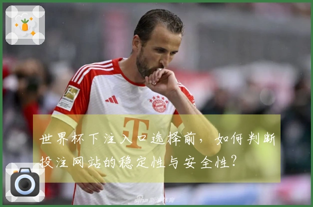 世界杯下注入口选择前，如何判断投注网站的稳定性与安全性？
