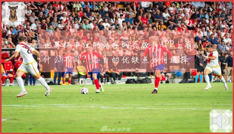 世界杯下注网站在网页版和APP上有什么不同？各自的优缺点如何选择？