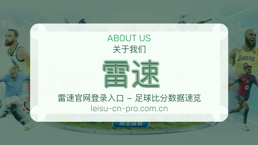 关于 雷速 团队